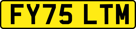 FY75LTM