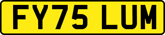 FY75LUM