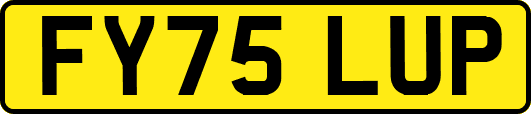 FY75LUP