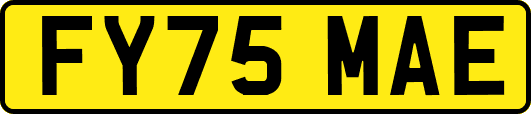 FY75MAE