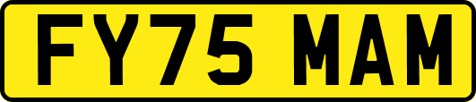 FY75MAM