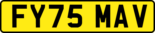 FY75MAV