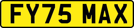 FY75MAX