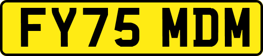 FY75MDM