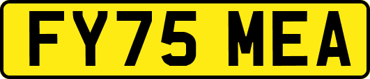 FY75MEA