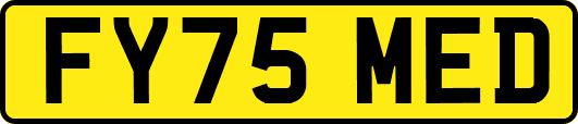 FY75MED
