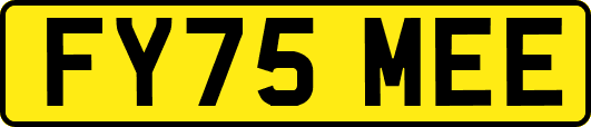 FY75MEE