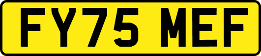 FY75MEF