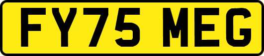 FY75MEG