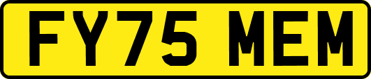 FY75MEM