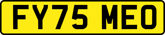 FY75MEO