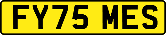 FY75MES