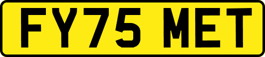 FY75MET