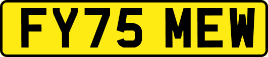 FY75MEW
