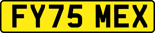FY75MEX