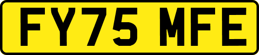 FY75MFE