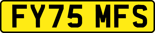 FY75MFS