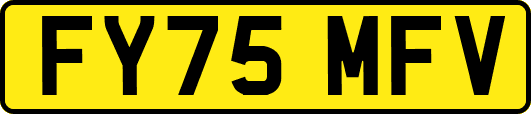 FY75MFV
