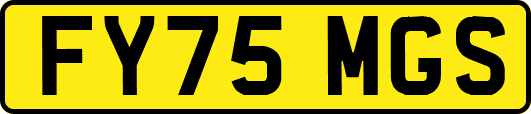 FY75MGS