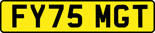 FY75MGT