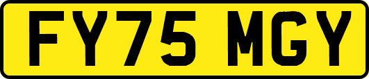 FY75MGY