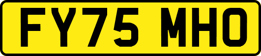 FY75MHO