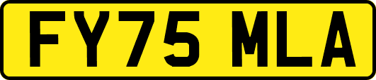 FY75MLA