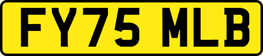 FY75MLB