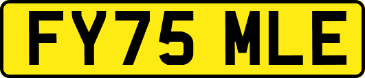 FY75MLE