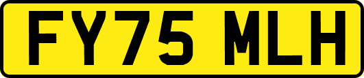 FY75MLH