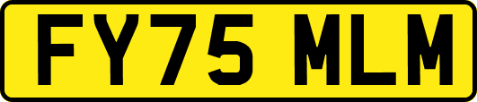 FY75MLM