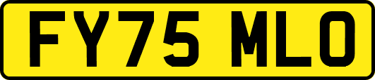 FY75MLO