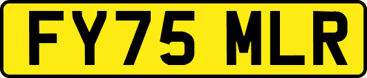 FY75MLR