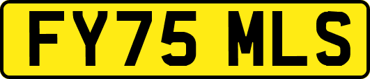 FY75MLS