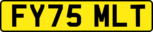 FY75MLT