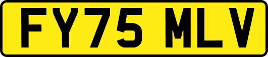 FY75MLV