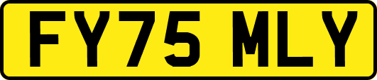 FY75MLY