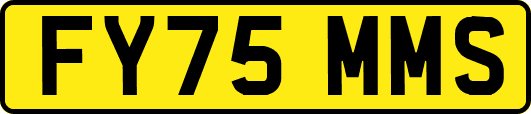 FY75MMS