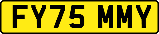 FY75MMY