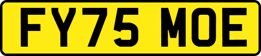 FY75MOE