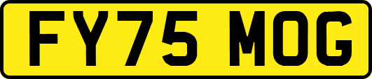 FY75MOG