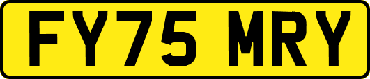 FY75MRY
