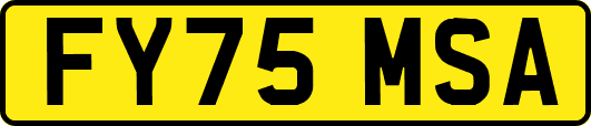 FY75MSA