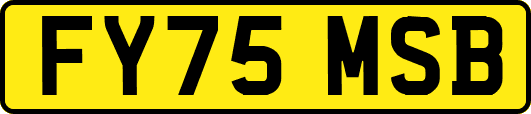 FY75MSB
