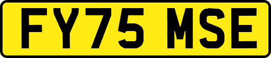 FY75MSE