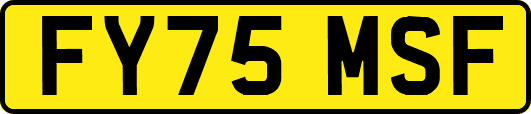 FY75MSF
