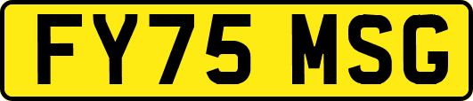 FY75MSG