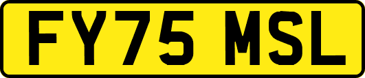 FY75MSL