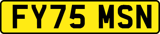 FY75MSN