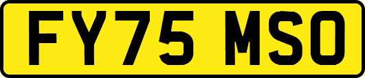 FY75MSO